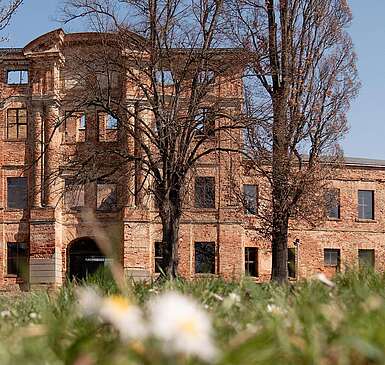 <p>Schlossruine Dahme/Mark</p>