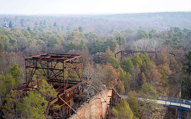 Wald auf den Ruinen in Beelitz Heilstätten