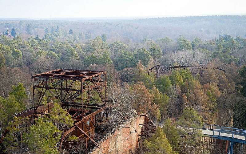 



    
        
                Wald auf den Ruinen in Beelitz Heilstätten,
            
        
                Foto: Tourismusverband Fläming e.V./Frank Burchert
            
    
