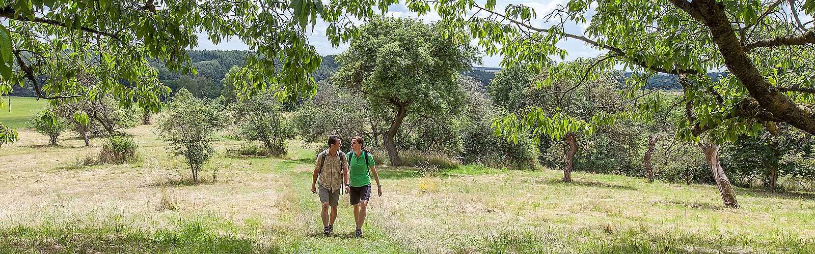 Wanderer im Hohen Fläming