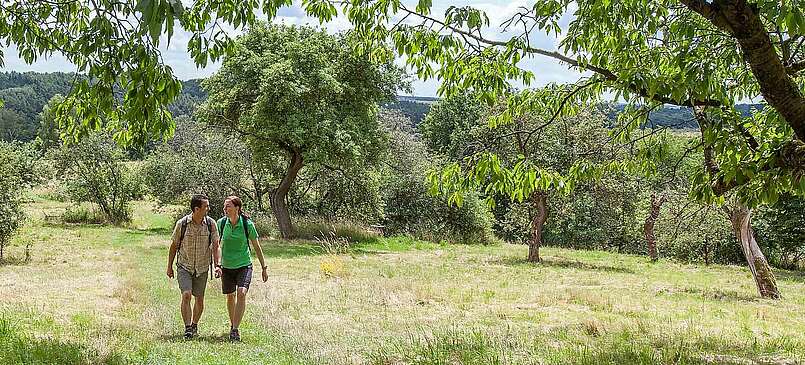 Wanderer im Hohen Fläming