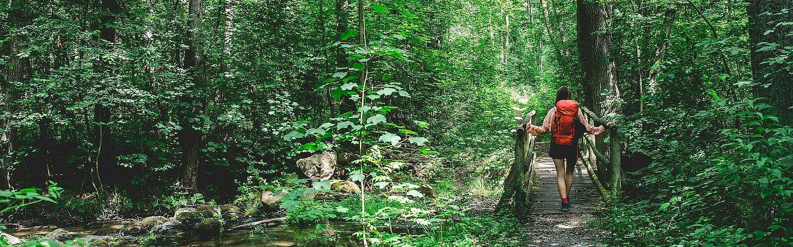 Im Nieplitztal bei Treuenbrietzen,
            
        
                Foto: Tourismusverband Fläming e.V./Antje Wickboldt