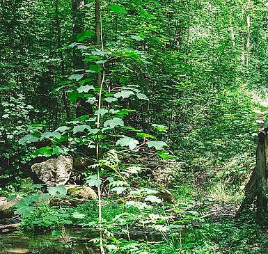 Natur hautnah erleben