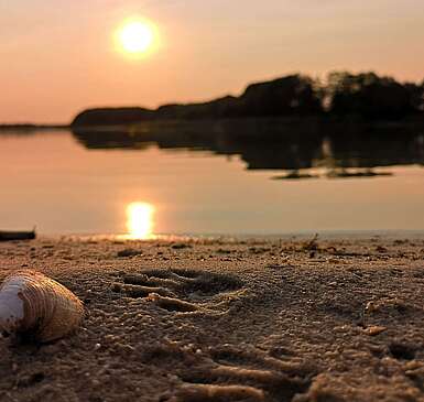 Spätsommerabend am Seddiner See