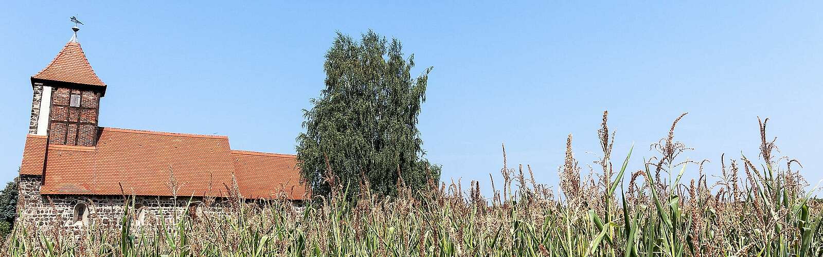 Landschaft im Naturpark Fläming,
            
        
                Foto: Tourismusverband Fläming e.V./Jedrzej Marzecki