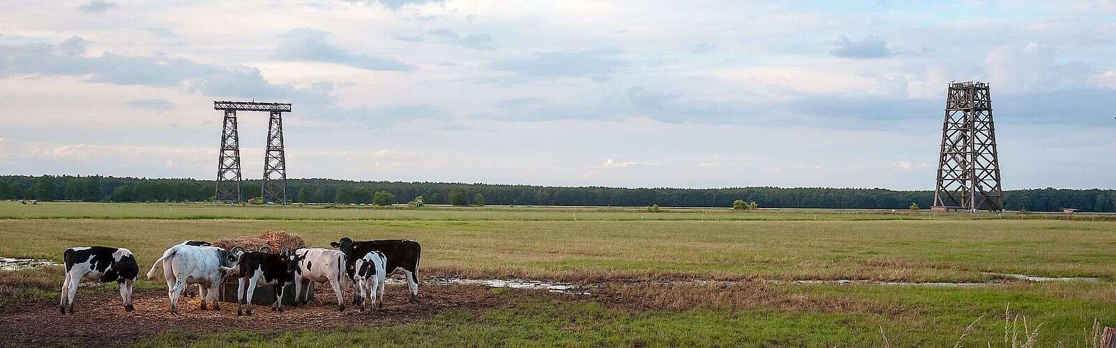 Holztürme in Brück
