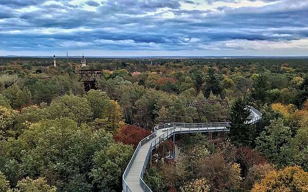 Baumkronenpfad Beelitz Heilstätten