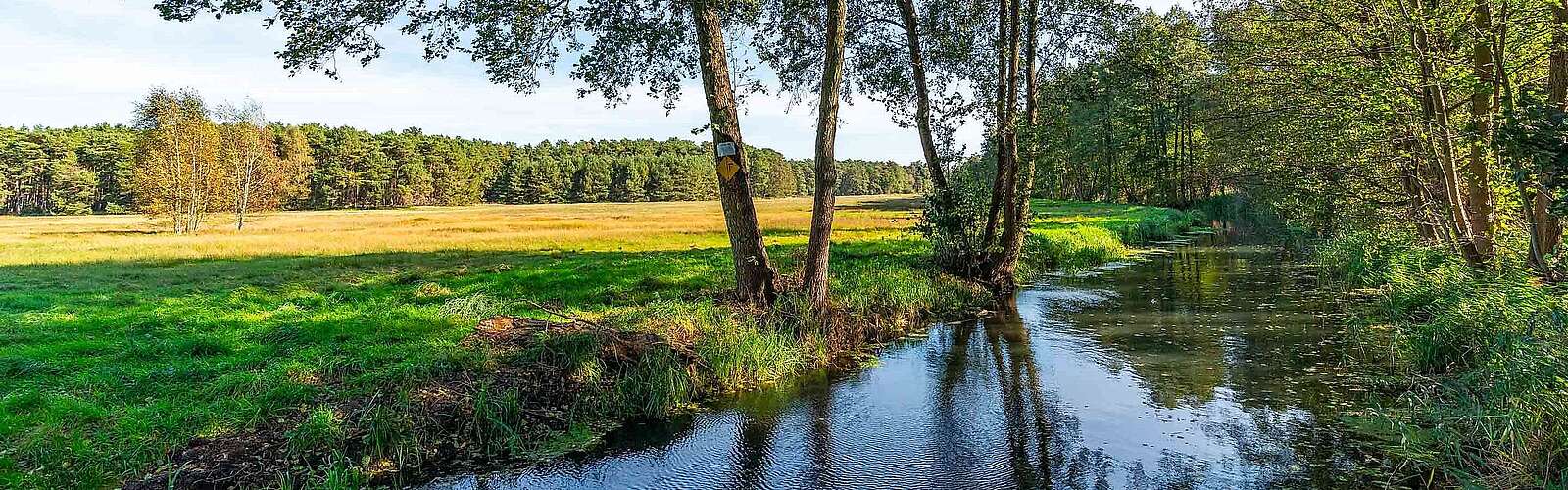 Flusslandschaft zwischen Gottower See und Hammerfließ, Gottow, Baruther Urstromtal, Fläming, Brandenburg, Deutschland