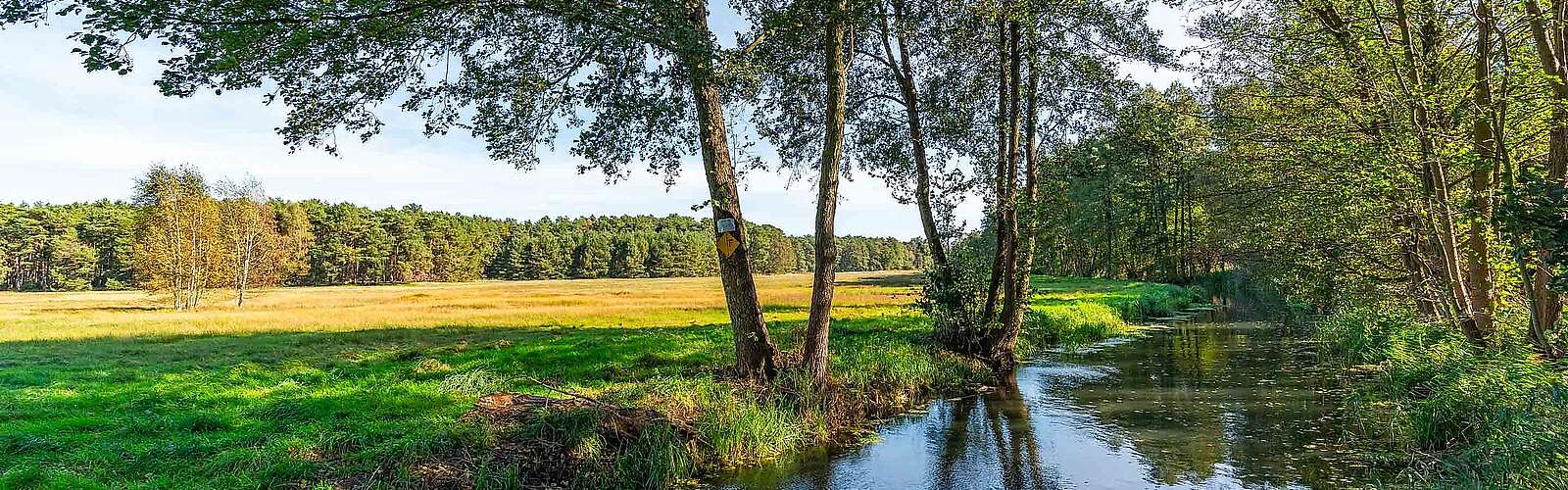 Flusslandschaft zwischen Gottower See und Hammerfließ, Gottow, Baruther Urstromtal, Fläming, Brandenburg, Deutschland