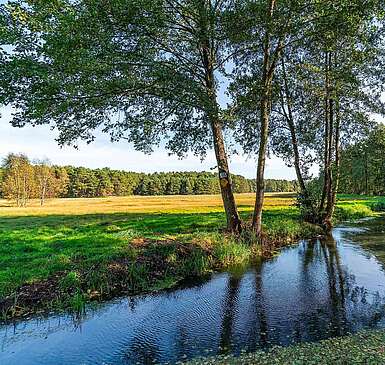 Flusslandschaft zwischen Gottower See und Hammerfließ, Gottow, Baruther Urstromtal, Fläming, Brandenburg, Deutschland