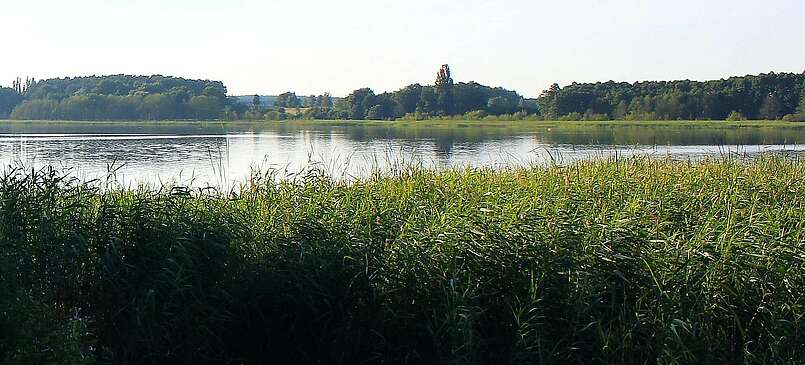 Wandern um den Seddiner See
