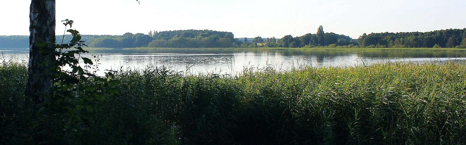 Seeufer am Seddiner See,
            
        
                Foto: Tourismusverband Fläming e.V./Alexandra Stein