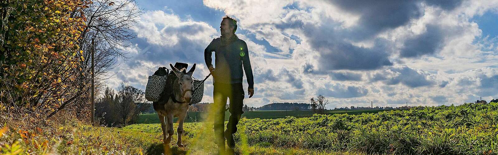 Eselwandern mit Jan Prowaznik von den Eselnomaden,
            
        
                Foto: Tourismusverband Fläming e.V./Julian Hohlfeld