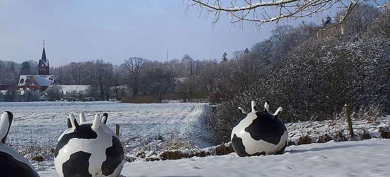 Winter im Naturpark Hoher Fläming