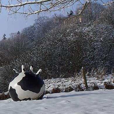 Winter im Naturpark Hoher Fläming