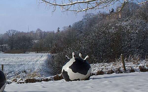 Winter im Naturpark Hoher Fläming