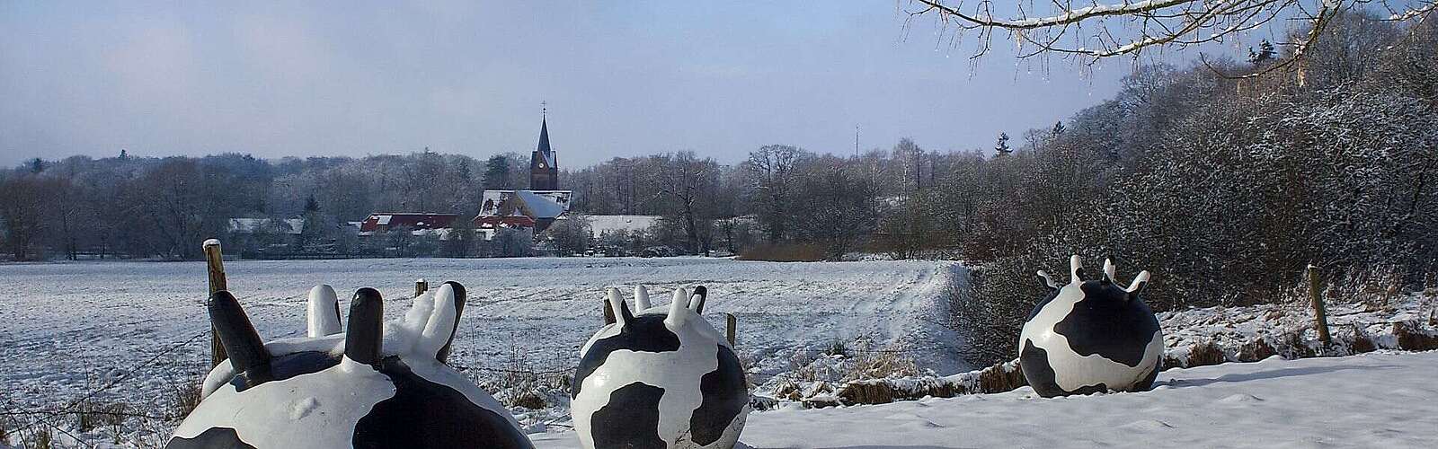Winter im Naturpark Hoher Fläming