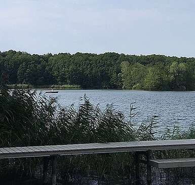 Bootssteg am Motzener See in Kallinchen