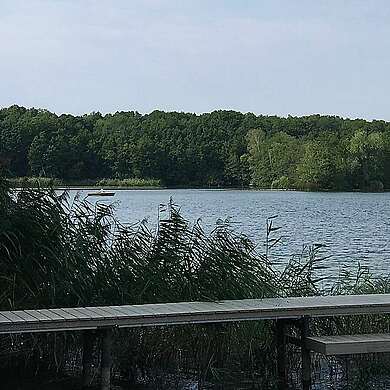 Blau machen in Kallinchen