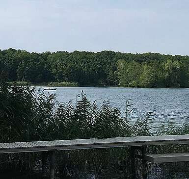 Blau machen in Kallinchen