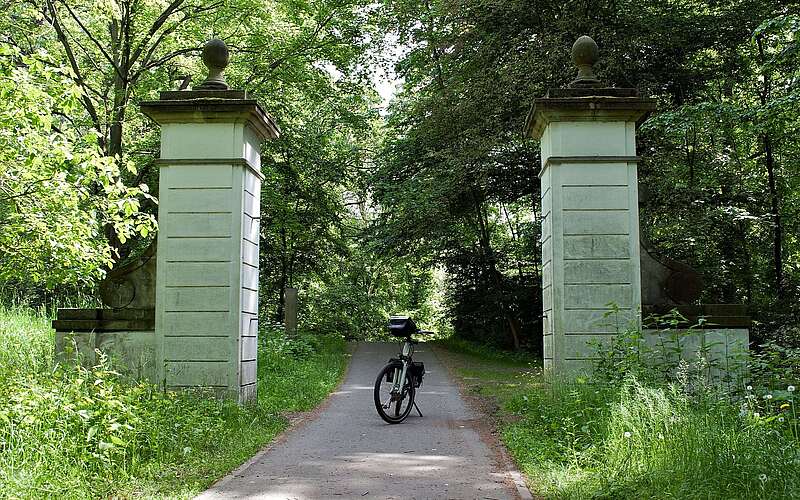 Tour auf dem Elberadweg bei Dessau mit dem Mittelelbe RadVerleih