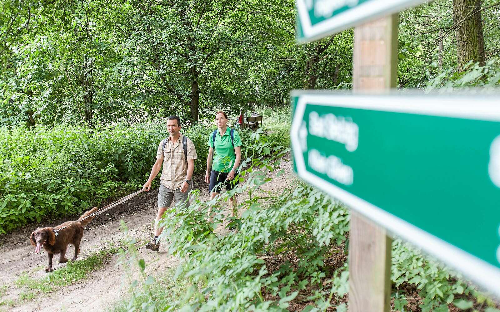 Paar wandert mit Hund im Hohen Fläming