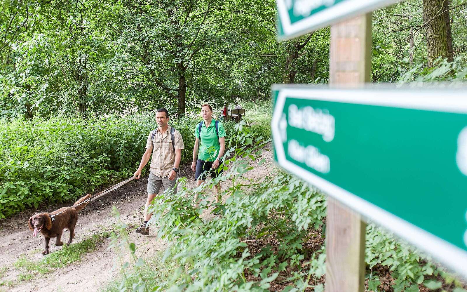 Paar wandert mit Hund im Hohen Fläming
