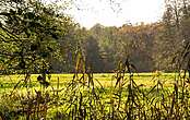 Naturparke im Fläming