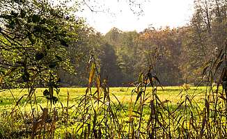 Naturparke im Fläming