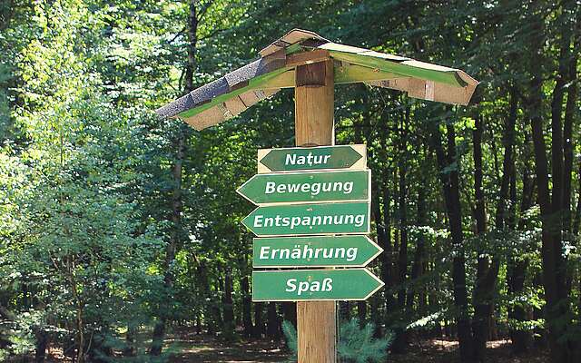 Waldbaden und Gesundheitswandern mit Brita Hannemann