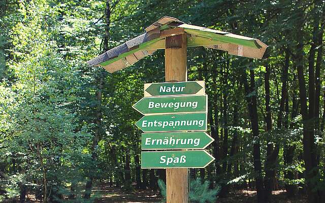 Waldbaden und Gesundheitswandern mit Brita Hannemann