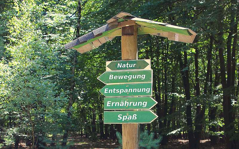 Waldbaden und Gesundheitswandern mit Brita Hannemann