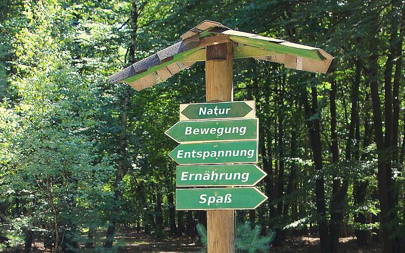 



    
        
                Waldbaden und Gesundheitswandern mit Brita Hannemann,
            
        
                Foto: Tourismusverband Fläming e.V./Brita Hannemann
            
    
