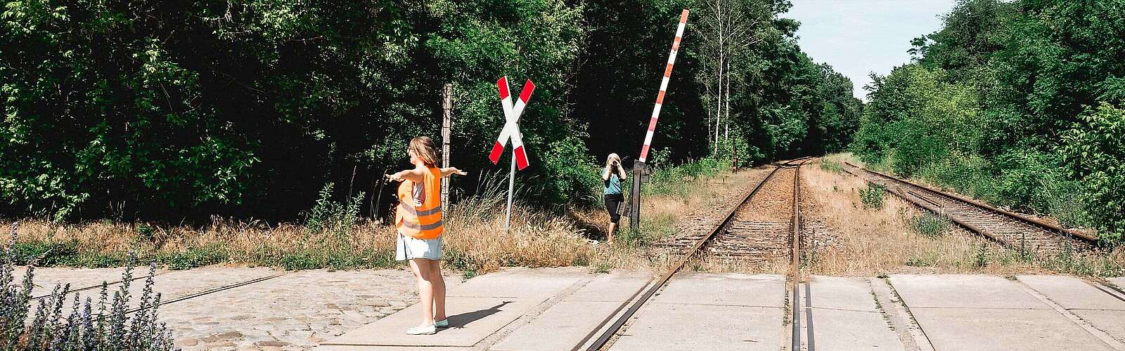 Schienen für Draisine im Fläming