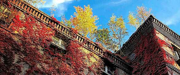Beelitz-Heilstätten