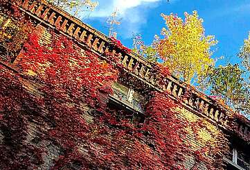 Beelitz Heilstätten im Herbst