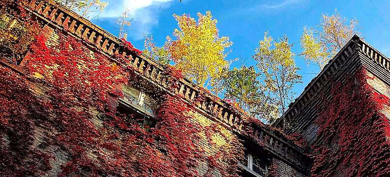 Beelitz Heilstätten im Herbst
