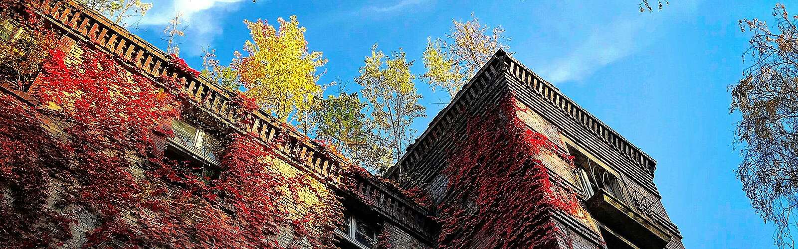 Beelitz Heilstätten im Herbst,
            
        
                Foto: Tourismusverband Fläming e.V./Claudia Wegener