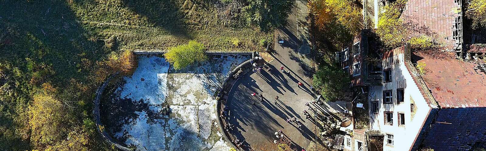 Baumkronenpfad,
            
        
                
                
                    Foto: Baum und Zeit