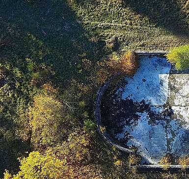 Baumkronenpfad