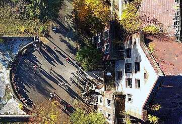 Baumkronenpfad