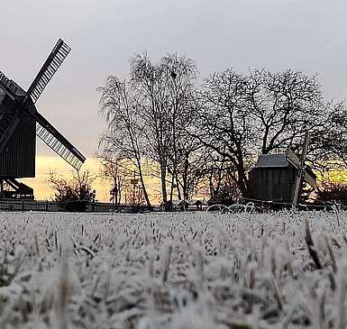 Beelitzer Bockwindmühle mit Raureif