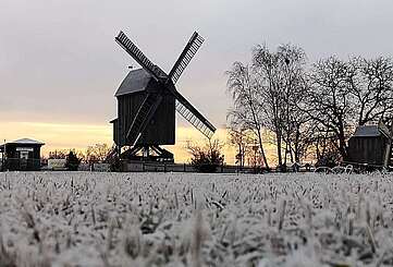 Beelitzer Bockwindmühle mit Raureif