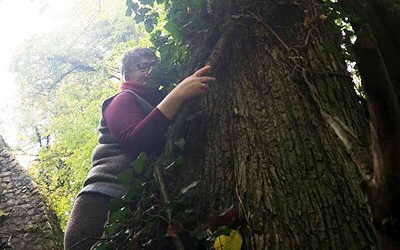 Britt Muschert beim Waldbaden