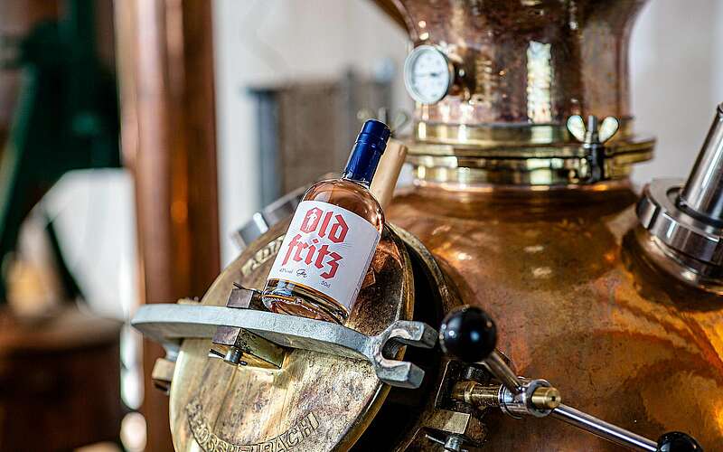 



    
        
                Ginherstellung in der Destillerie in Kloster Zinna,
            
        
                Foto: Tourismusverband Fläming e.V./Süßmost & Weinkelterei Hohenseefeld GmbH
            
    
