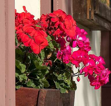 Teltow
