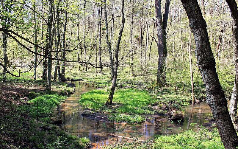 Naturpark Fläming