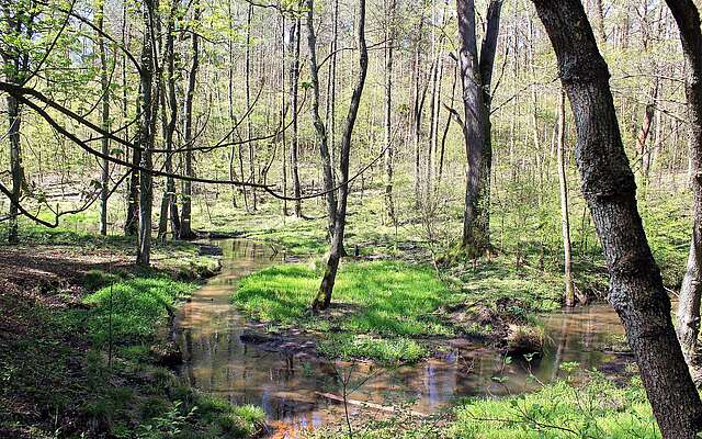 Naturpark Fläming