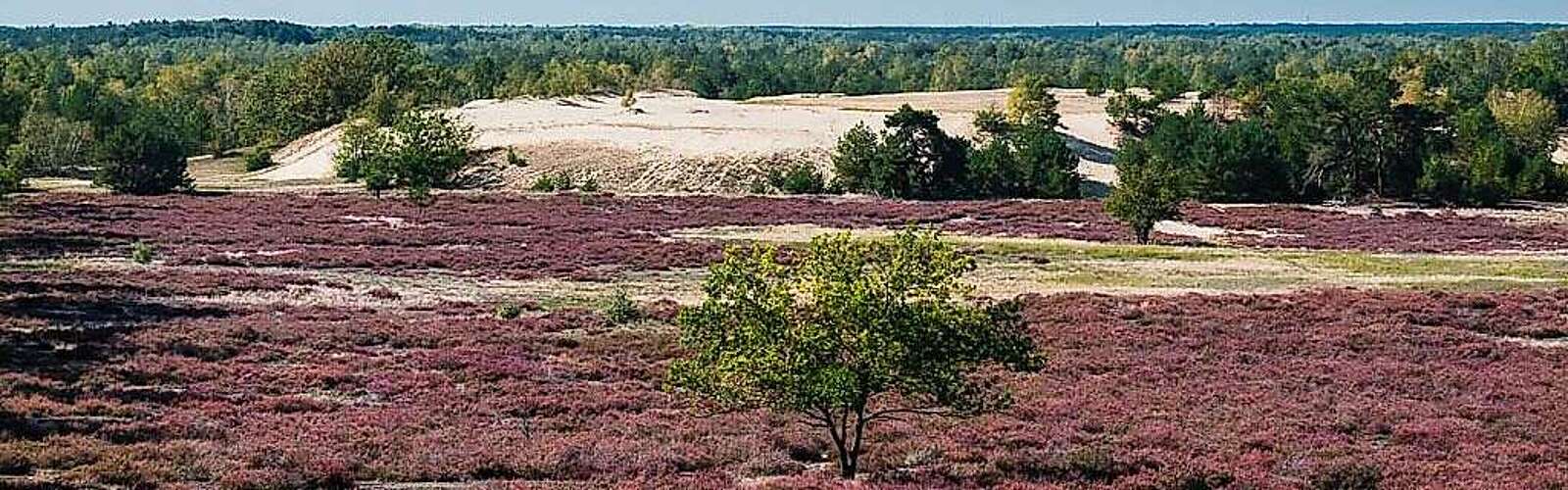 Stiftungsflächen Jüterbog