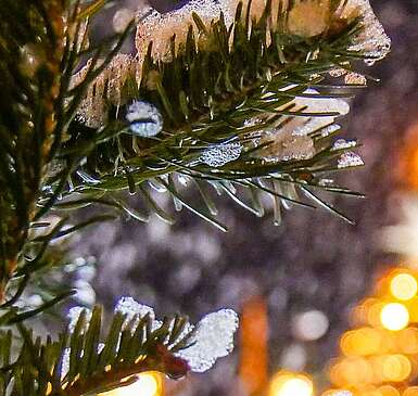 Lichterglanz Klaistow Erlebnishof